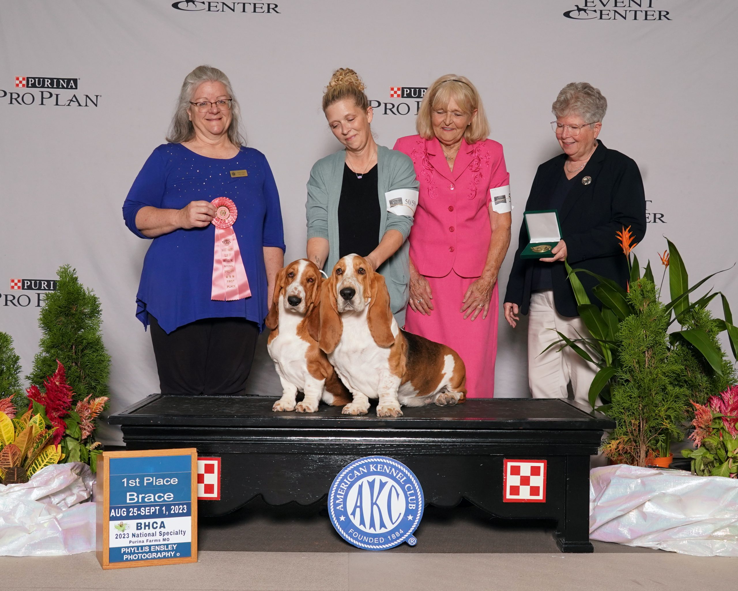 Eva Kotilinek and award-winning Basset hounds